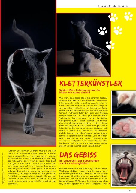 Freunde Magazin Frühling 2013 S. 01 - Alles für Tiere