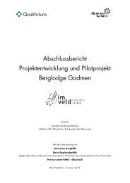 Abschlussbericht Projektentwicklung und Pilotprojekt ... - Qualifutura