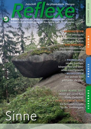 Reflexe Ausgabe Dezember 2010 - vdms