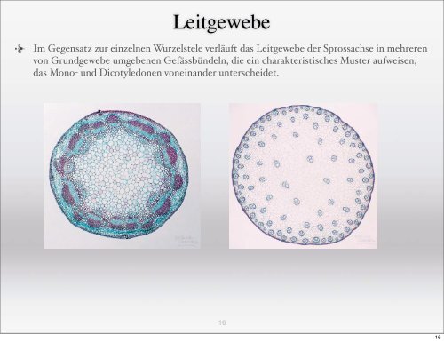 2 - Israng.ch