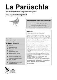 Parüschla 1 - Vogelschutz Engadin