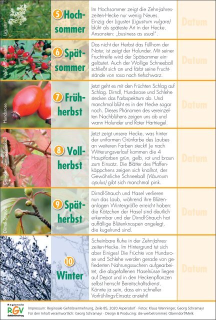 Die 10-Jahreszeiten-Hecke - Natur Begleiter