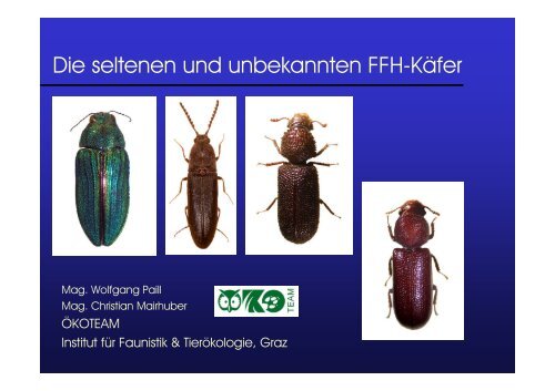 Die seltenen und unbekannten FFH-Käfer