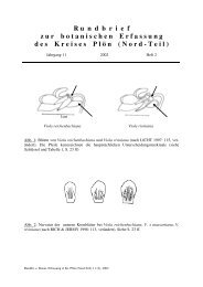 Rundbrief 2002, Heft 2 - Flora des Kreises Plön