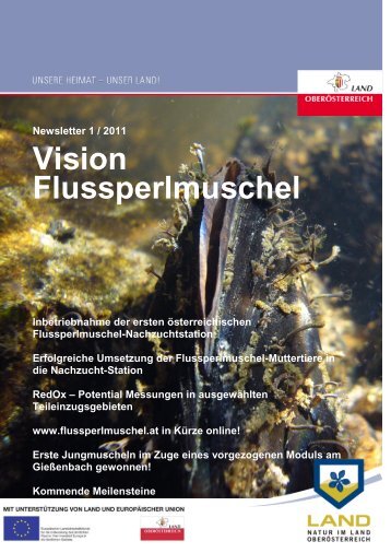 Download (pdf 1,55 MB) - Flussperlmuschel