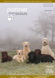 Dezember 2011 - Partner-Hunde Österreich