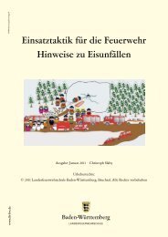 Eisrettung - Landesfeuerwehrschule Baden-Württemberg