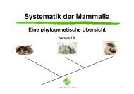 Systematik der Mammalia - Nitsche-benjamin.de