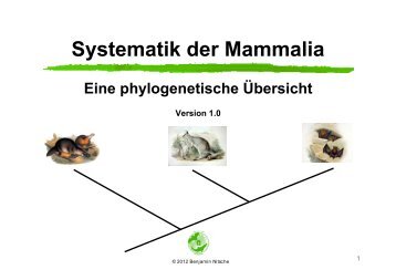 Systematik der Mammalia - Nitsche-benjamin.de