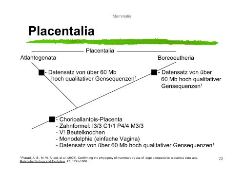 Systematik der Mammalia - Nitsche-benjamin.de