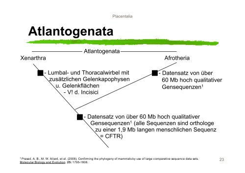 Systematik der Mammalia - Nitsche-benjamin.de