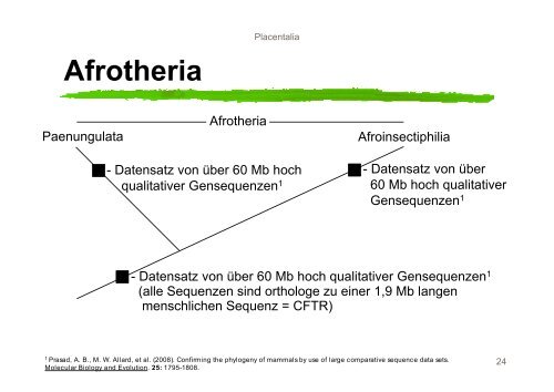 Systematik der Mammalia - Nitsche-benjamin.de