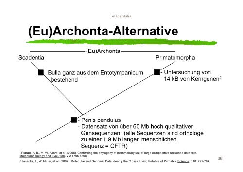 Systematik der Mammalia - Nitsche-benjamin.de