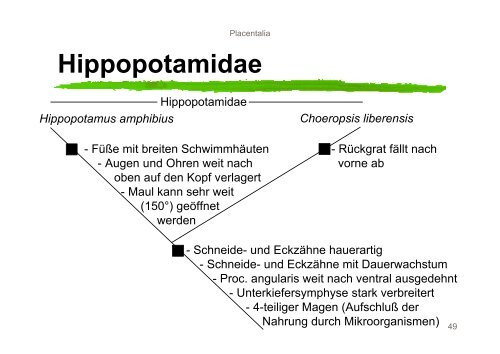 Systematik der Mammalia - Nitsche-benjamin.de