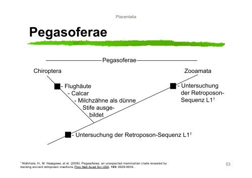 Systematik der Mammalia - Nitsche-benjamin.de