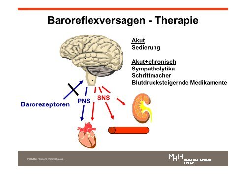 Vortrag Prof. Dr. med. Jens Jordan