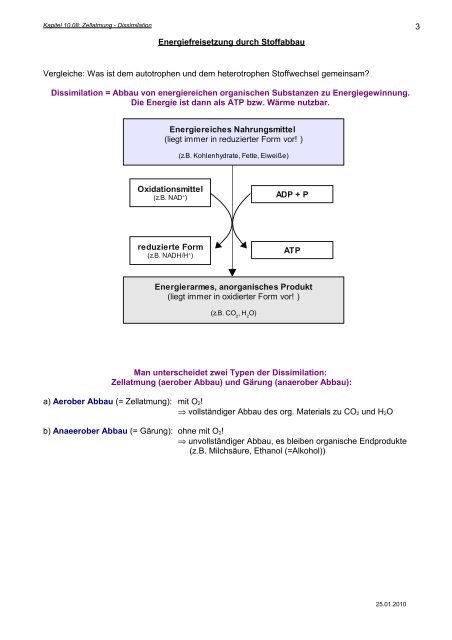 Kapitel 10.08: Zellatmung - Dissimilation - Hoffmeister.it