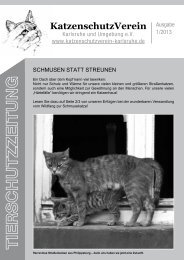 Ausgabe 01/2013 - KatzenschutzVerein Karlsruhe und Umgebung eV