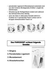 histologie bertl ws 2012 teil 4.pdf - fabulare