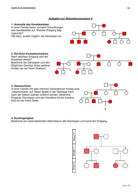 Erbkrankheiten-PDF - Hoffmeister.it