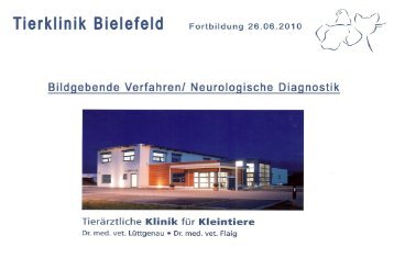 MRT in der neurologischen Diagnostik - Tierklinik Bielefeld