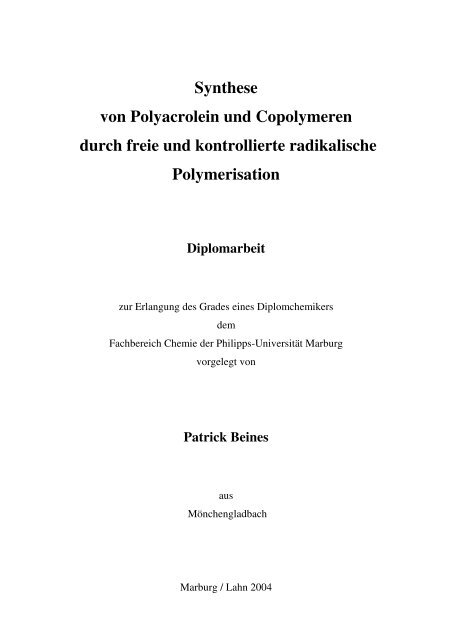 Diplomarbeit - Patrick Beines - Homepage von Dr. Patrick W. Beines