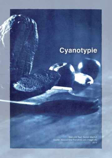 Anleitung zur Herstellung von Cyanotypien - ARS-Imago GmbH