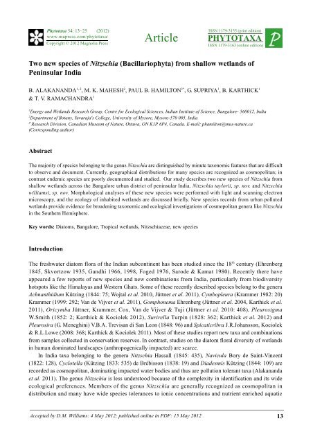 Two new species of Nitzschia (Bacillariophyta) from ... - CES (IISc)