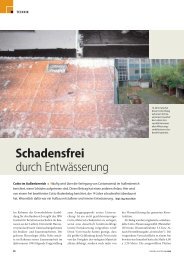 Schadensfrei durch Entwässerung - Alpin-Chemie GmbH