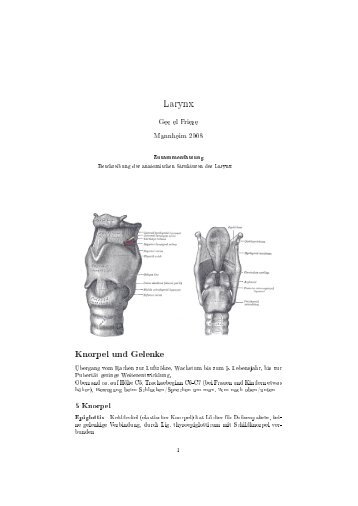 Larynx - RZ User