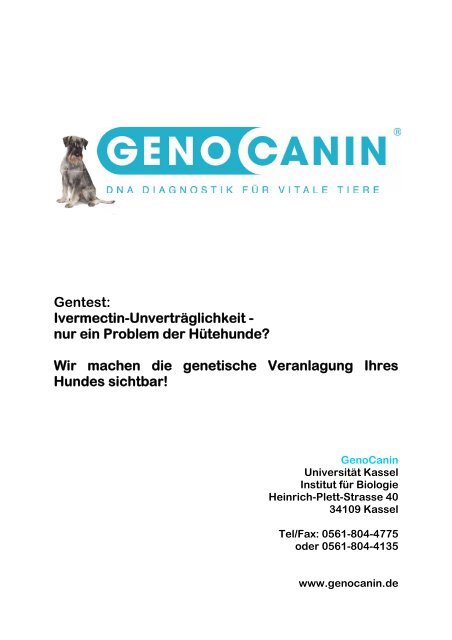 Gentest: Ivermectin-Unverträglichkeit - nur ein Problem ... - GenoCanin