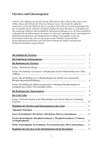 Glycolyse und Gluconeogenese - von Jochen Wiesner