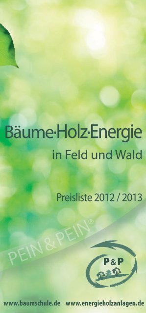 elefantenohr pflege standort Elefantenohr | kaufen