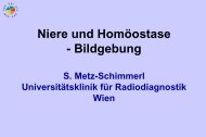 Niere und Homöostase - Bildgebung