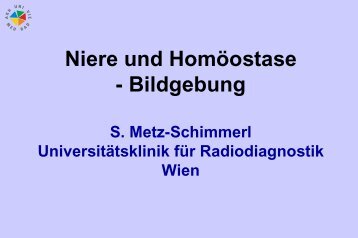 Niere und Homöostase - Bildgebung