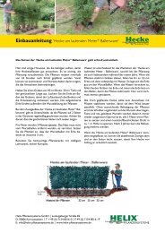 Einbau- und Pflegeanleitung - Hecke am laufenden Meter