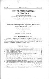 Roewer 1954c Indoaustralische Gagrellinae 2.pdf - Museu Nacional