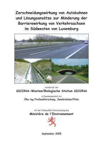 Zerschneidungswirkung von Autobahnen und ... - sicona