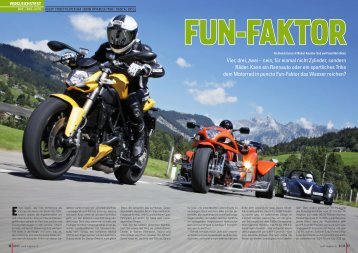 Download als pdf