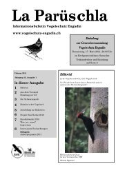 Parüschla 1 - Vogelschutz Engadin