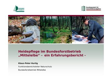 Heidepflege im Bundesforstbetrieb „Mittelelbe“ – ein ...