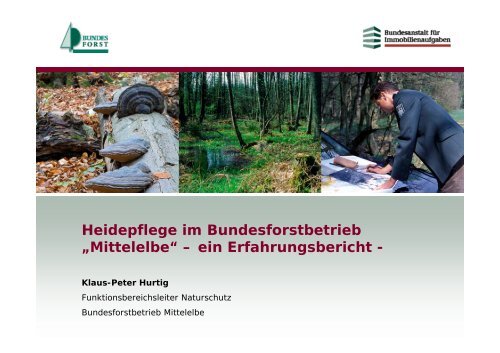 Heidepflege im Bundesforstbetrieb „Mittelelbe“ – ein ...