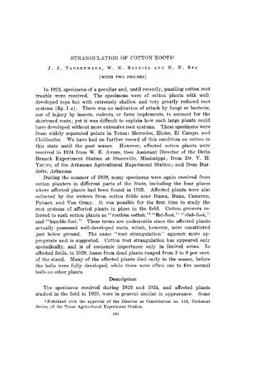 STRANGULATION OF COTTON ROOTS1 ... - Plant Physiology