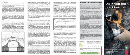 Die Kalkgruben von Mønsted - Naturstyrelsen