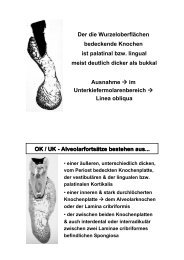 histologie bertl ws 2012 teil 5.pdf - fabulare