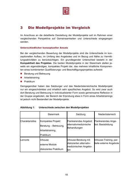 Ergebnisse der Begleitforschung zu den IRMKA-Modellprojekten