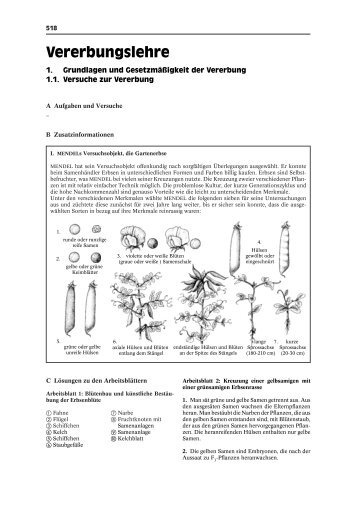 BioEDIT 7-10: Vererbungslehre - Fastbot