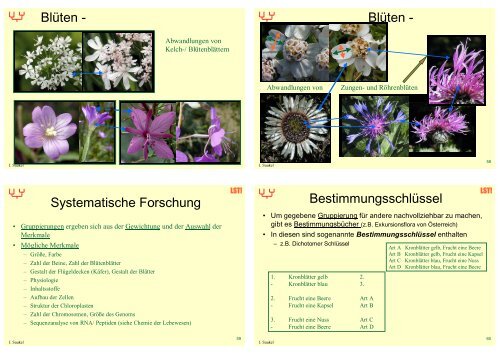 Biologie f. Pharmazeuten (1) - 23mb - PharmXplorer