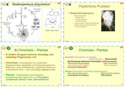 Biologie f. Pharmazeuten (1) - 23mb - PharmXplorer