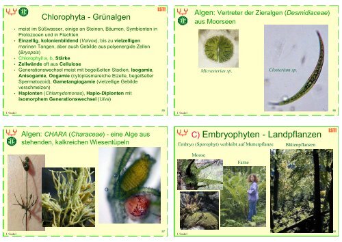 Biologie f. Pharmazeuten (1) - 23mb - PharmXplorer